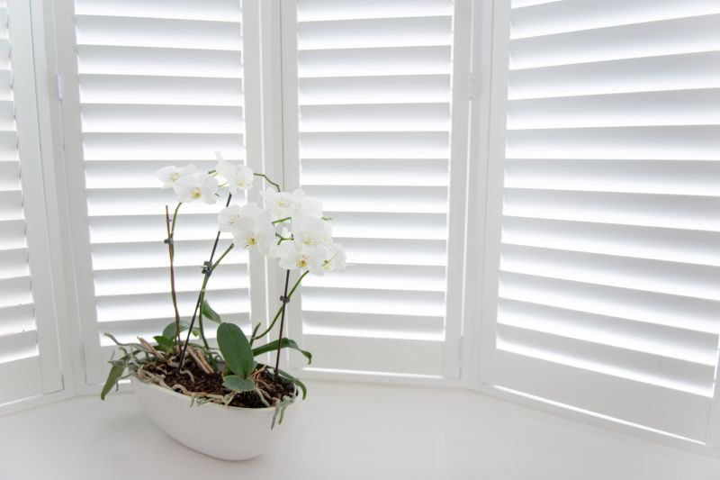 Exterior Shutters Installation in Littleton, CO